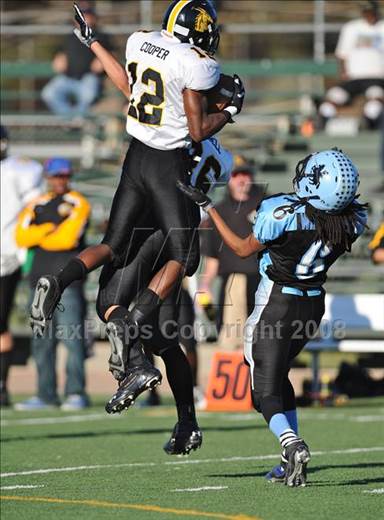 Saturday, Nov 15, 2008