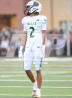 Photo from the gallery "Helix @ Saint Francis"