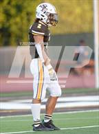 Photo from the gallery "Helix @ Saint Francis"