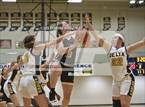 Photo from the gallery "Cowan @ Delta"