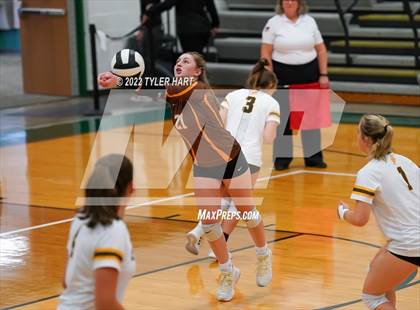 Thumbnail 3 in Speedway vs. Guerin Catholic (IHSAA 3A Regional Semi Final) photogallery.