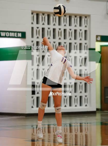Thumbnail 3 in Speedway vs. Guerin Catholic (IHSAA 3A Regional Semi Final) photogallery.