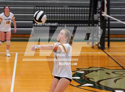 Thumbnail 2 in Speedway vs. Guerin Catholic (IHSAA 3A Regional Semi Final) photogallery.