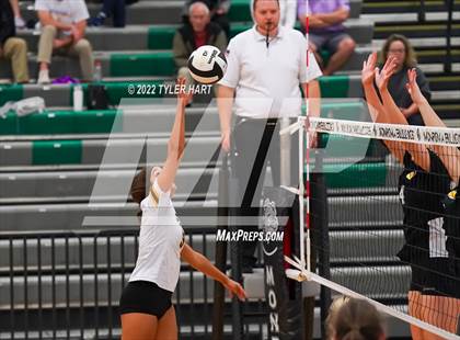 Thumbnail 1 in Speedway vs. Guerin Catholic (IHSAA 3A Regional Semi Final) photogallery.