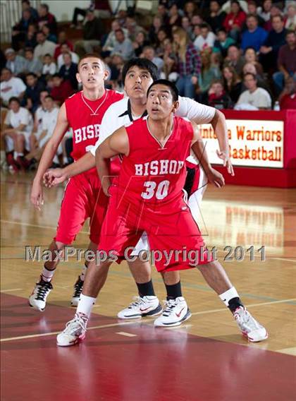 Thumbnail 1 in Bishop Diego @ Carpinteria photogallery.