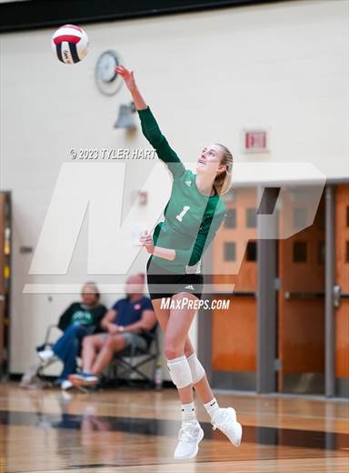 null - Photo 01