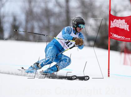 Thumbnail 2 in NYSPHSAA Alpine Championships (Giant Slalom - 2nd Run) photogallery.