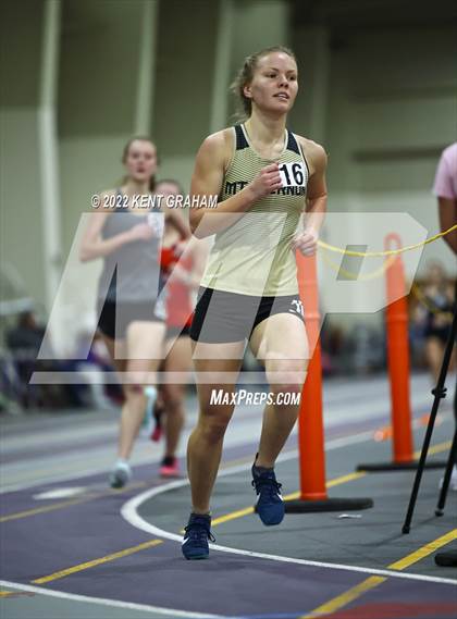 Thumbnail 1 in Indiana Runner Indoor Open photogallery.