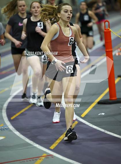 Thumbnail 1 in Indiana Runner Indoor Open photogallery.