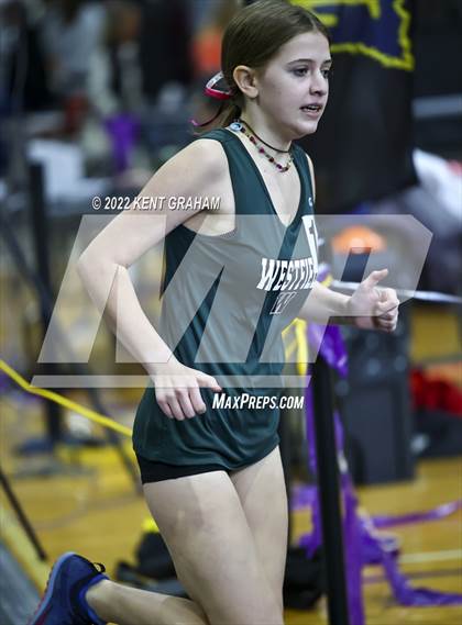 Thumbnail 1 in Indiana Runner Indoor Open photogallery.