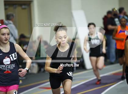 Thumbnail 3 in Indiana Runner Indoor Open photogallery.
