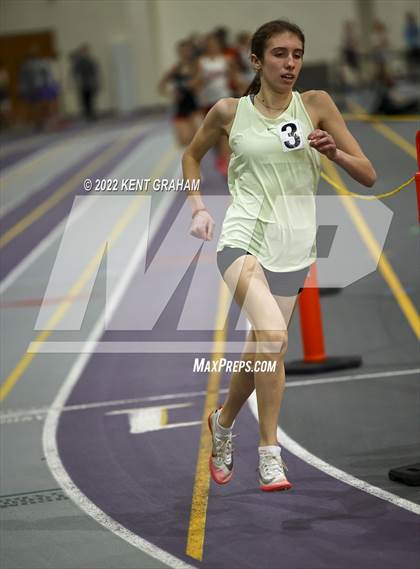 Thumbnail 1 in Indiana Runner Indoor Open photogallery.