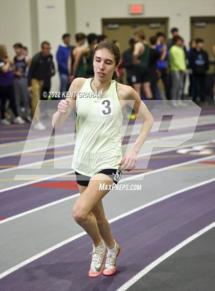 Thumbnail 3 in Indiana Runner Indoor Open photogallery.