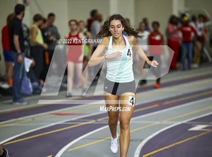 Thumbnail 3 in Indiana Runner Indoor Open photogallery.