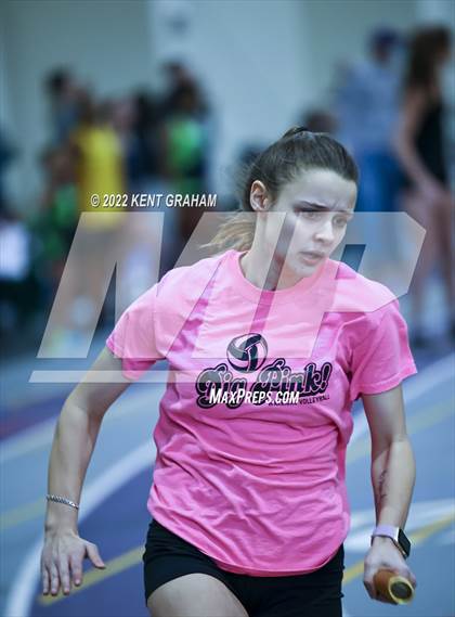 Thumbnail 3 in Indiana Runner Indoor Open photogallery.