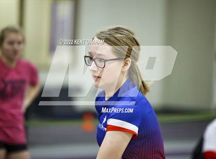 Thumbnail 3 in Indiana Runner Indoor Open photogallery.