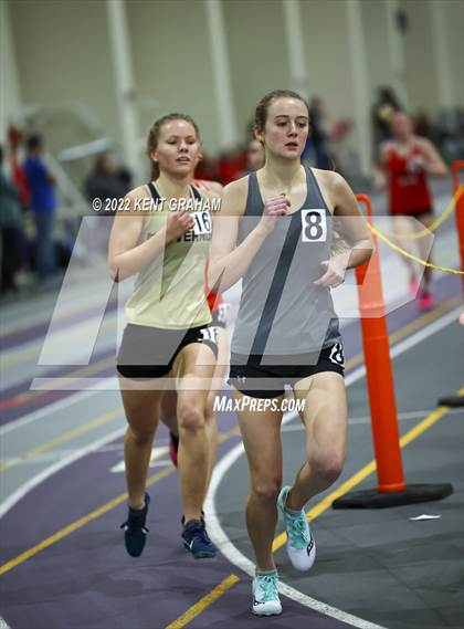 Thumbnail 3 in Indiana Runner Indoor Open photogallery.