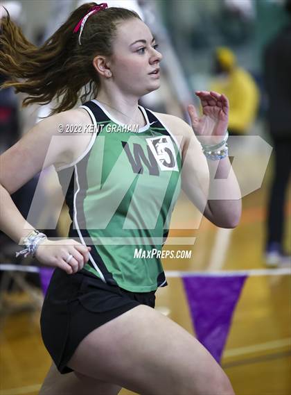 Thumbnail 2 in Indiana Runner Indoor Open photogallery.