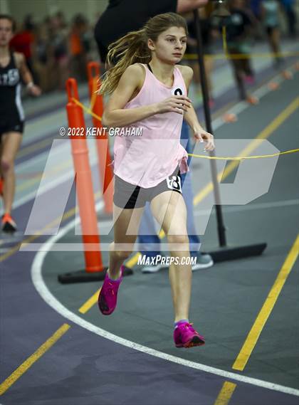 Thumbnail 1 in Indiana Runner Indoor Open photogallery.