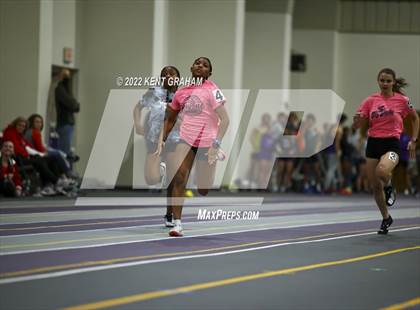 Thumbnail 3 in Indiana Runner Indoor Open photogallery.