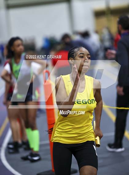 Thumbnail 1 in Indiana Runner Indoor Open photogallery.