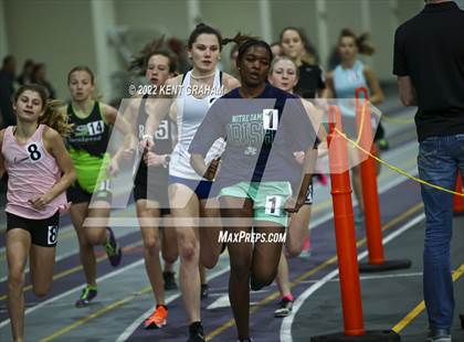 Thumbnail 2 in Indiana Runner Indoor Open photogallery.