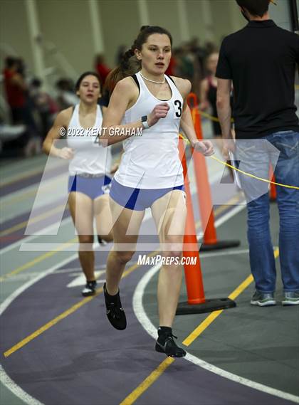 Thumbnail 3 in Indiana Runner Indoor Open photogallery.