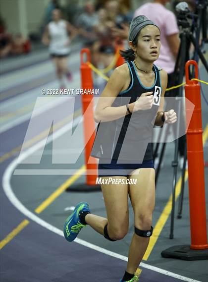 Thumbnail 2 in Indiana Runner Indoor Open photogallery.