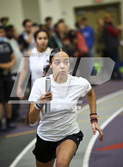 Thumbnail 2 in Indiana Runner Indoor Open photogallery.