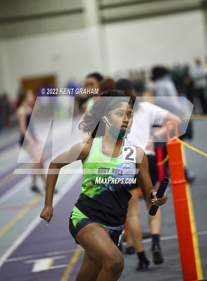 Thumbnail 2 in Indiana Runner Indoor Open photogallery.