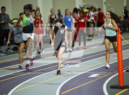 Thumbnail 2 in Indiana Runner Indoor Open photogallery.