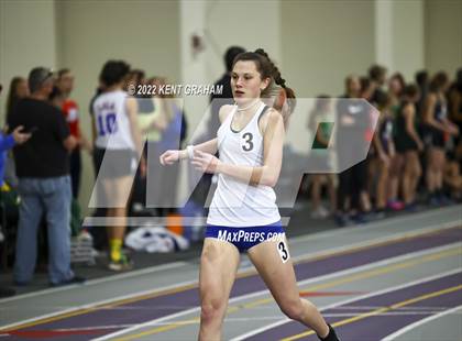 Thumbnail 1 in Indiana Runner Indoor Open photogallery.