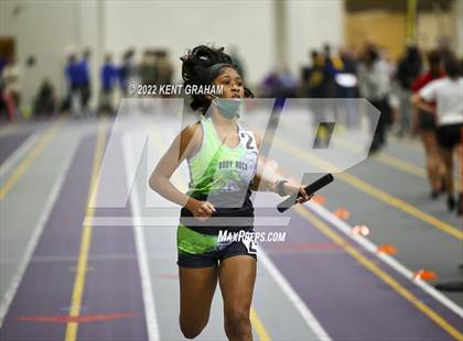Thumbnail 3 in Indiana Runner Indoor Open photogallery.