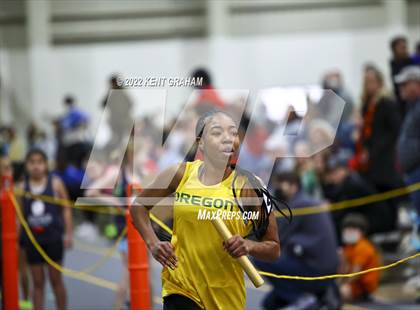 Thumbnail 1 in Indiana Runner Indoor Open photogallery.