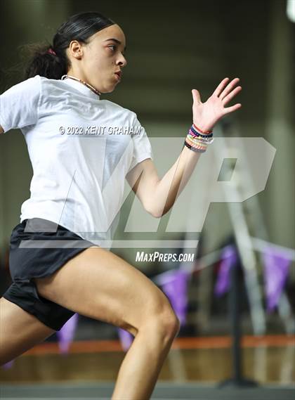 Thumbnail 3 in Indiana Runner Indoor Open photogallery.