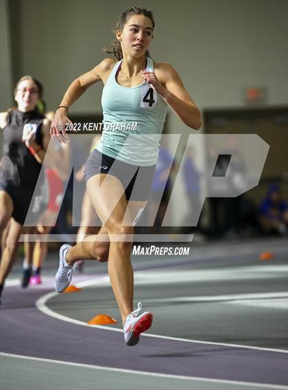 Thumbnail 3 in Indiana Runner Indoor Open photogallery.