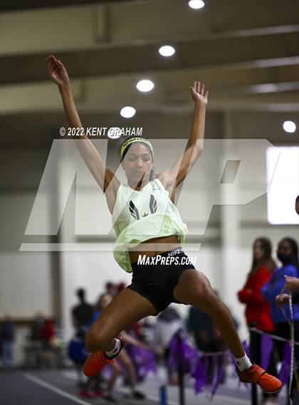 Thumbnail 3 in Indiana Runner Indoor Open photogallery.