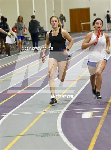 Thumbnail 1 in Indiana Runner Indoor Open photogallery.