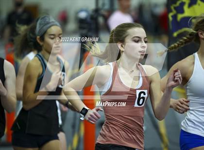 Thumbnail 2 in Indiana Runner Indoor Open photogallery.