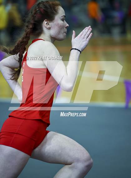 Thumbnail 3 in Indiana Runner Indoor Open photogallery.