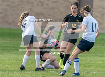 Thumbnail 1 in Mount Mercy Academy @ Cardinal O'Hara photogallery.