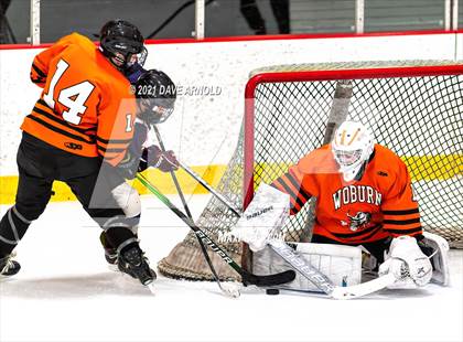 Thumbnail 3 in Belmont @ Woburn Memorial photogallery.