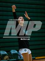 Photo from the gallery "Davis @ Olympus"