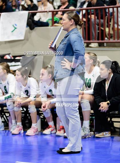 Thumbnail 3 in Pine Creek vs. Cherry Creek (CHSAA 5A Round 3) photogallery.