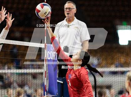 Thumbnail 1 in Pine Creek vs. Cherry Creek (CHSAA 5A Round 3) photogallery.