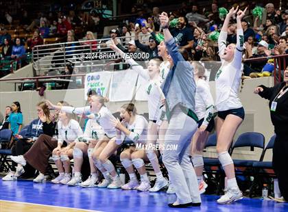 Thumbnail 2 in Pine Creek vs. Cherry Creek (CHSAA 5A Round 3) photogallery.