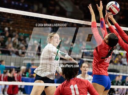 Thumbnail 2 in Pine Creek vs. Cherry Creek (CHSAA 5A Round 3) photogallery.