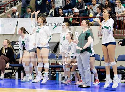 Thumbnail 2 in Pine Creek vs. Cherry Creek (CHSAA 5A Round 3) photogallery.