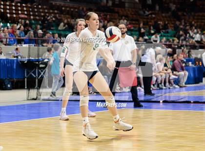 Thumbnail 2 in Pine Creek vs. Cherry Creek (CHSAA 5A Round 3) photogallery.