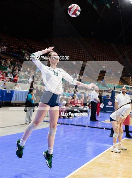 Thumbnail 1 in Pine Creek vs. Cherry Creek (CHSAA 5A Round 3) photogallery.